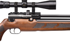 kralPuncherMadera-e1540377334696.png
